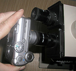 eine Digitalkamera direkt am Okular